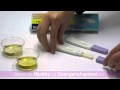 Healthy Zwangerschapstest Video Handleiding