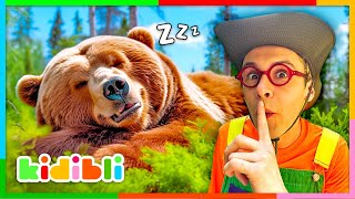 Let's Learn About Wild Animals! | Educational Animal Videos For Kids | Kidibli