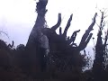 Pathivara Darshan 2012 Part 2 (Last)