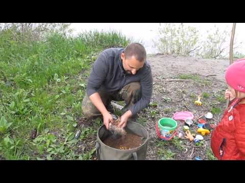 деснянский лещ видео деснянский лещ видео