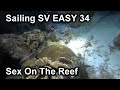 Sex On The Reef - SV Easy E34