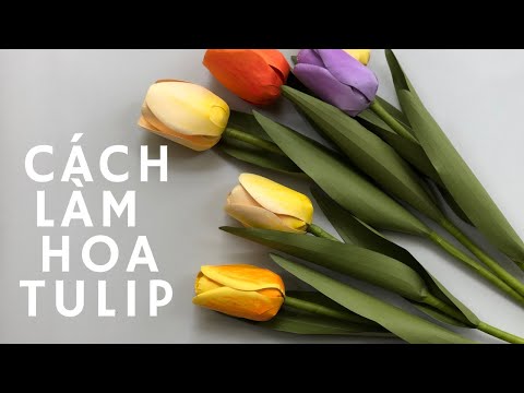 Cách làm hoa tulip bằng giấy | how to make tulip paper flower | DIY | 1991 handmade