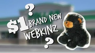 1 Webkinz Hunt