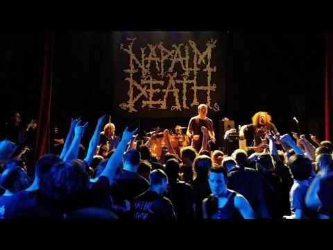 Napalm death - Adversarial / Copulating Snakes Napalm death - Adversarial / Copulating Snakes #1