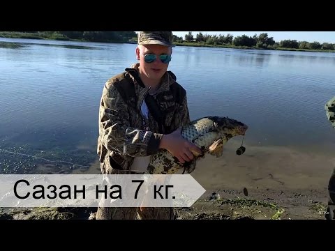 ловля сазана в астрахани на жмых ловля сазана в астрахани на жмых