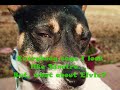 Unforgettable Love / Beegie Adair tribute to Nat King Cole
