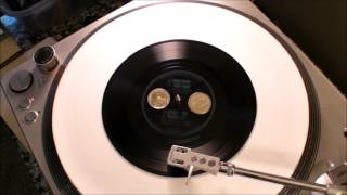 Watch Camper Van Beethoven Porpoise Mouth video