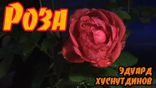 Роза - Эдуард Хуснутдинов (Премьера 2020)