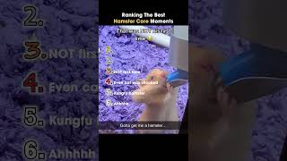 Ranking The Best Hamster Core Moments