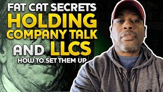 Download lagu FAT CAT SECRETS Holding Company and LLC TALK you should organize an LLC  How to do it in your STATE
