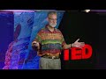 ocean acidification