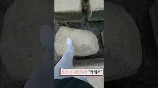 제 2회 #60초강남영상공모전