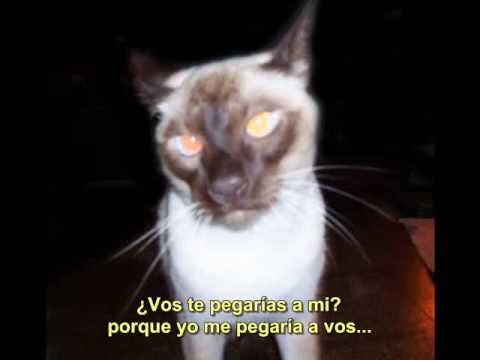 Stick To You Video