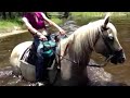 Trail ride in Odessa w/ Shaina & Emmy- swim in with the hor