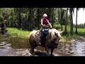 Trail ride in Odessa w/ Shaina & Emmy- swim in with the hor