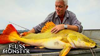 Diese Fische Wollte Jeremy Wade Eigentlich Gar Nicht Fangen Fluss Monster