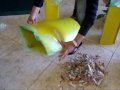 TRITA E DIFFERENZIA RIFIUTI DOMESTICI