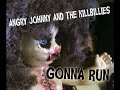 Angry Johnny And The Killbillies-Gonna Run