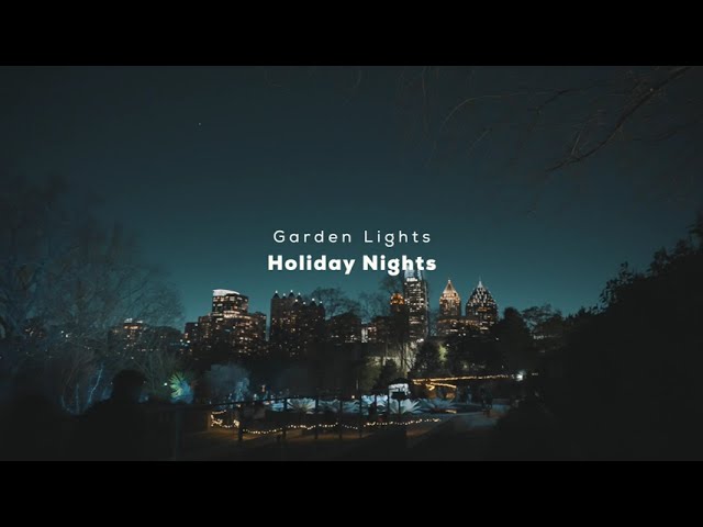 All Videos
