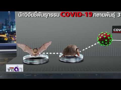 นักวิจัยชี้พันธุกรรม Covid-19 กลายพันธุ์ 3 ชนิด | 10 เม.ย. 63 | TNN ข่าวดึก