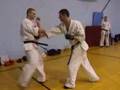 Kyokushin Karate Kumite Seminar 2008 - Wałcz, Poland
