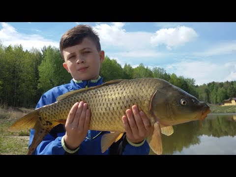 майский карп ловля майский карп ловля