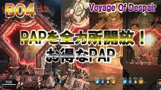 ?BO4 ??????????PAP????? Voyage Of Despair
