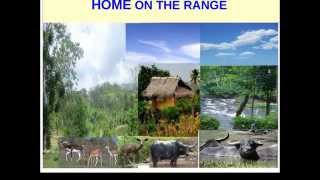 Watch Connie Francis Home On The Range video
