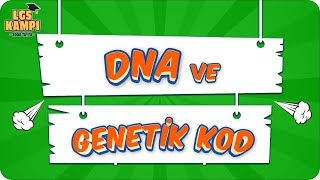 DNA VE GENETİK KOD | LGS Fen  #2022