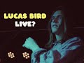 Lucas Bird - Art Class (Semi-live from a secret party)