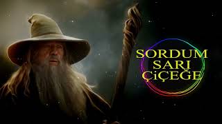Sordum Sarı Çiçeğe Rock Tarzı