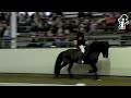 OSI Handorf 2013 - V2-Finale - isibless