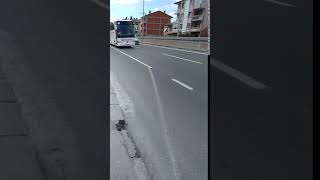 Yalova Seyehat Havali Korna Şov