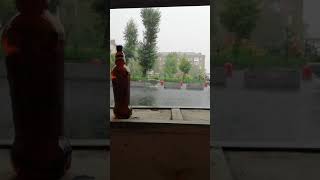 Дождь В Челябинске