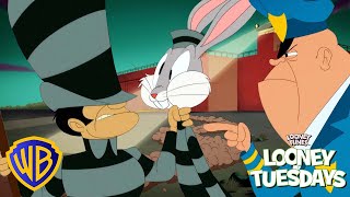 Looney Tunes Em Português 🇧🇷 | Fuga Da Prisão 🚨 | Wb Kids