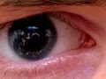 Identifiable images of bystanders extracted from corneal reflections
