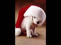 Zecchino D'oro - Buon Natale In Allegria