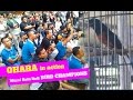 SUARA BURUNG : OHARA Beraksi Jadi Tontonan Kicaumania Di MURAI BATU BnR BIRD CHAMPIONS