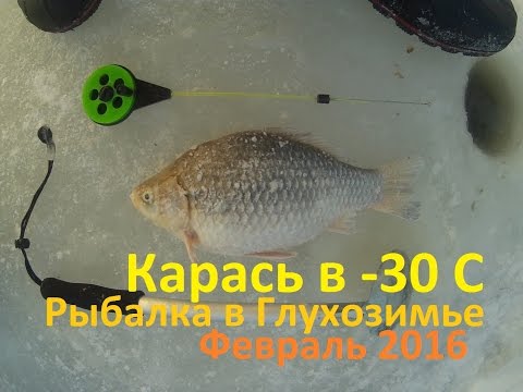 рыбалка как ловить карася в марту рыбалка как ловить карася в марту