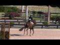 Video of ENTOURAGE ridden by ASHLEY HOTZ from ShowNet!