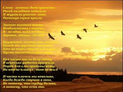 Песня журавли скачать военная песня