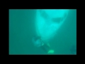 URGENT: AirAsia QZ 8501 Wreck Found Under Ocean (Raw Video)