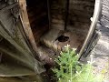 Epic Adventure Abandoned Fire Tower And Bonus Find images Epic Adventure Abandoned Fire Tower And Bonus Find