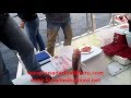 Kuşadası Balık Turu Kuşadası Balık Turu