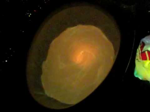 Glowsticks In A Toilet (The Rave Toilet)