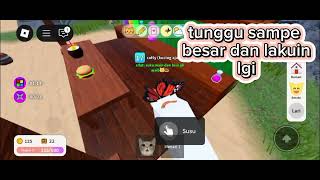 Tutorial Susu Gede Di Kitten Game