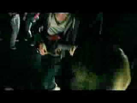 President Of The Wrong Crowd Video