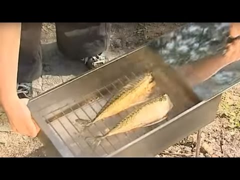 Коптильня холодного копчения видео на ютубе
