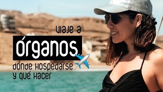 Viajamos a Órganos para ver a las ballenas | Ojo de Pez by Uchi Vargas