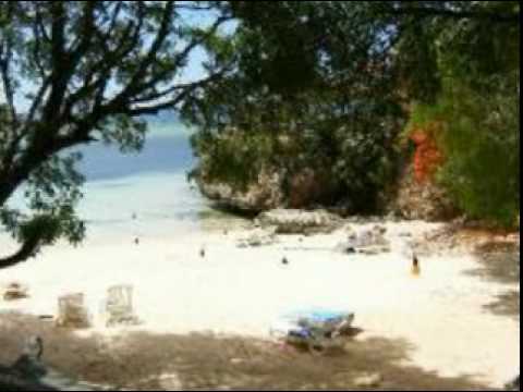 Le Mur Video